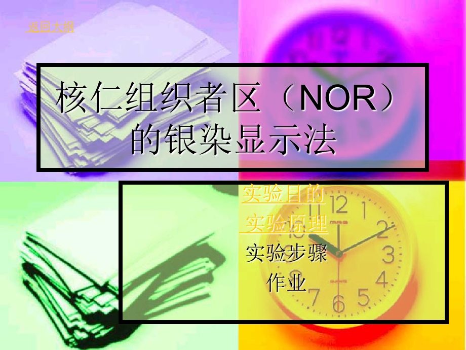 实验八核仁组织者区(NOR)的银染显示法.ppt_第1页