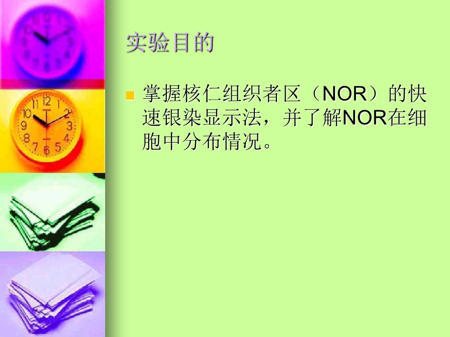 实验八核仁组织者区(NOR)的银染显示法.ppt_第2页