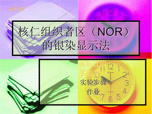 实验八核仁组织者区(NOR)的银染显示法.ppt