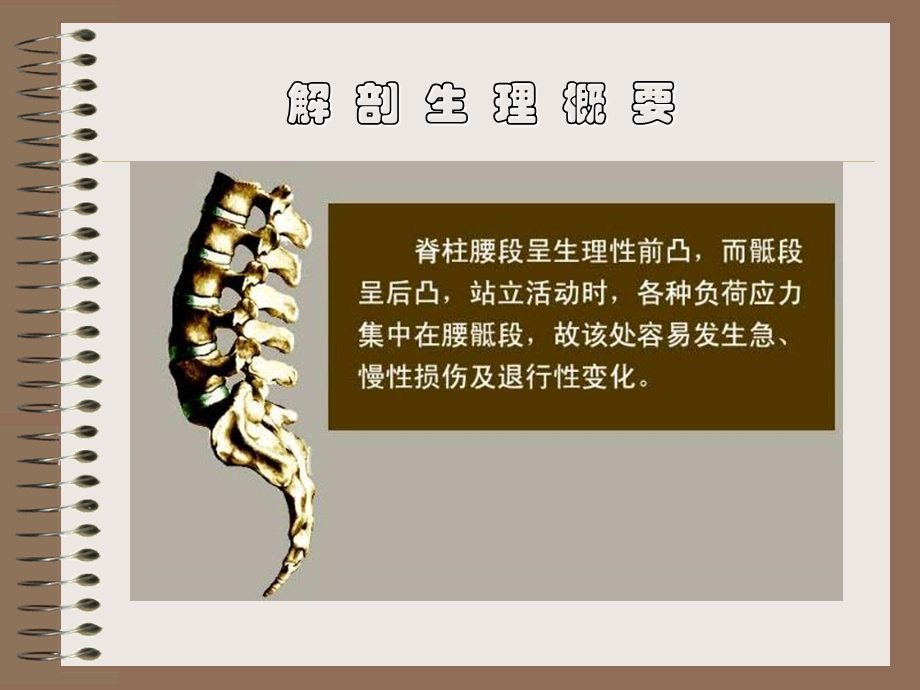 腰腿痛和颈肩痛.ppt_第3页