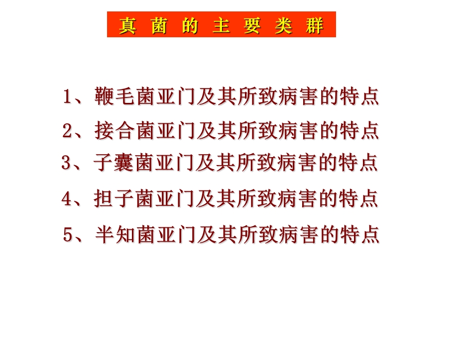 真菌的主要类群.ppt_第1页