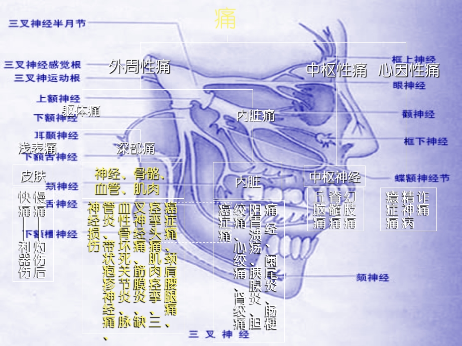 神经阻滞疗法基础.ppt_第2页