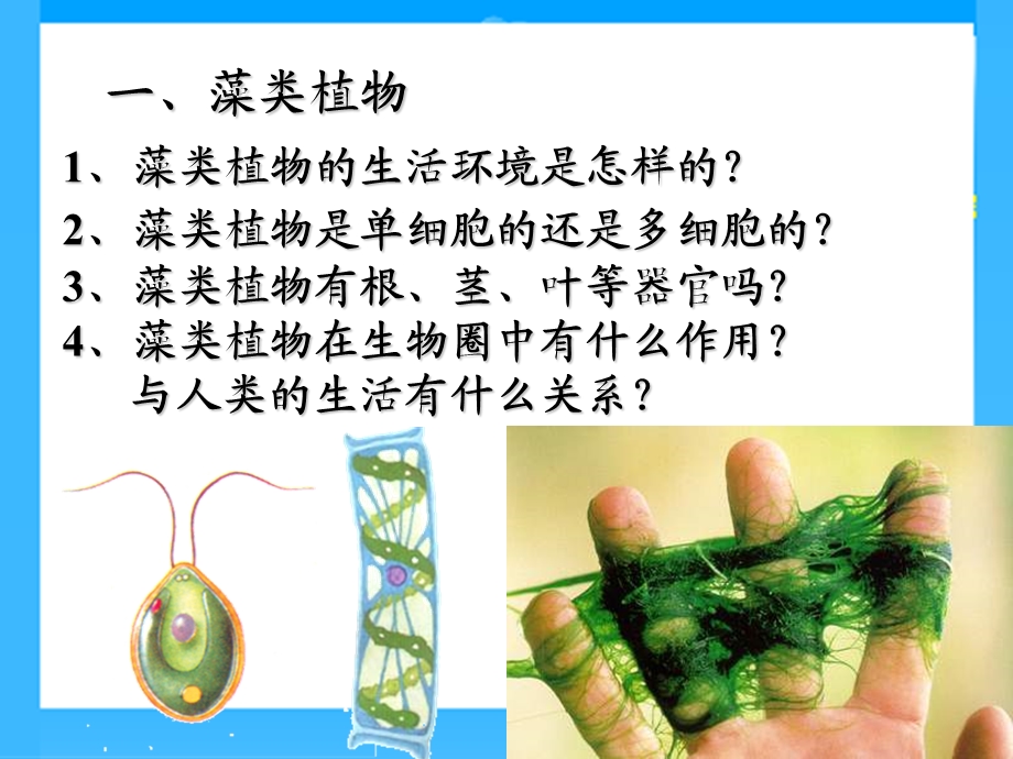 生物复习(第三单元第一第二章).ppt_第3页