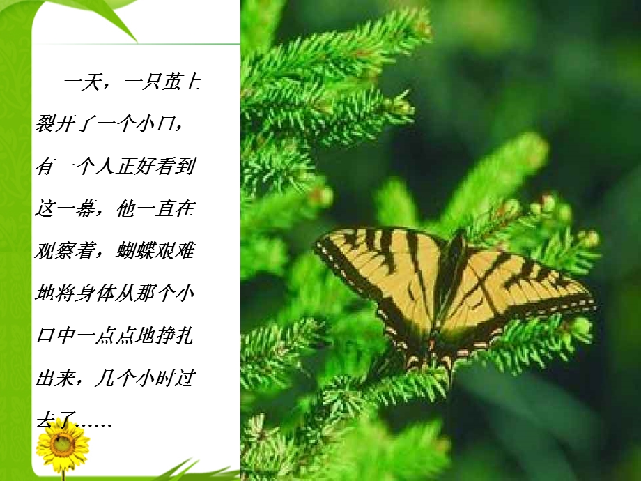 应对挫折,提升自我.ppt_第3页