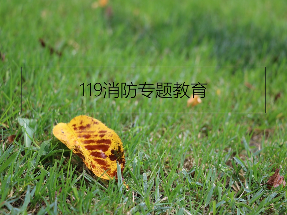 119消防专题教育.ppt_第1页