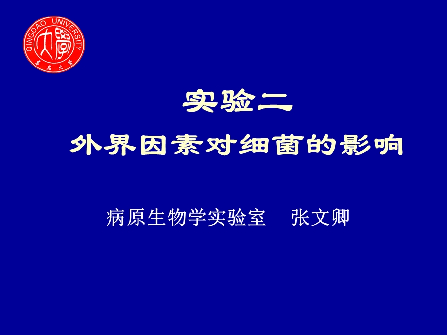 外界因素对细菌的影响.ppt_第1页