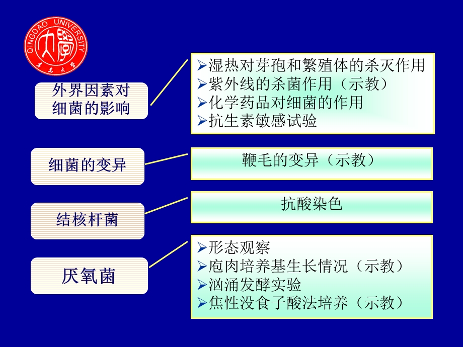 外界因素对细菌的影响.ppt_第2页