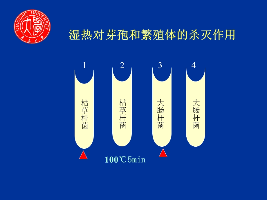 外界因素对细菌的影响.ppt_第3页