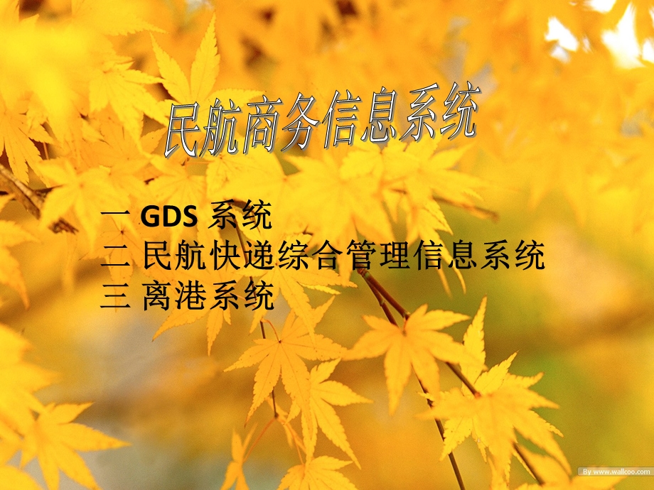 民航商务信息系统.ppt_第1页