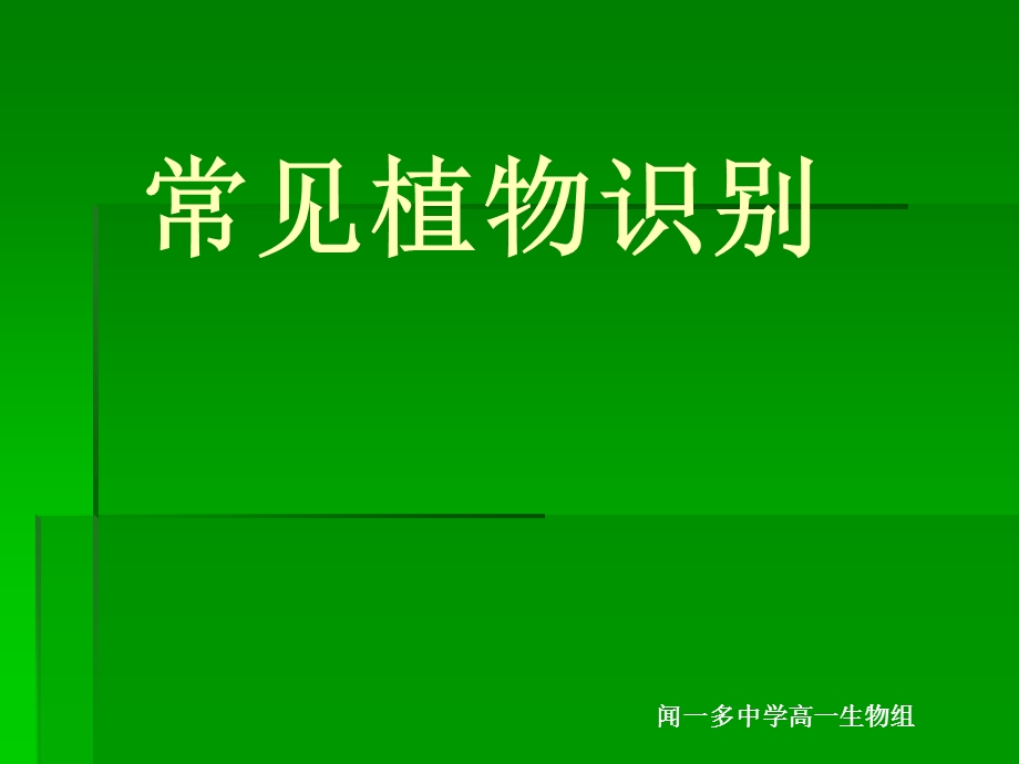 常见校园植物图片.ppt_第1页