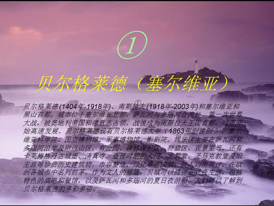 世界十大夜生活都市上YLX005.ppt_第2页