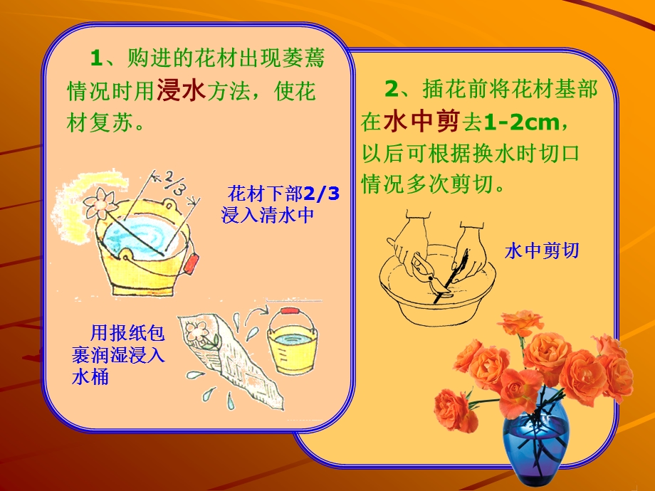 家庭插花五插花养护.ppt_第2页