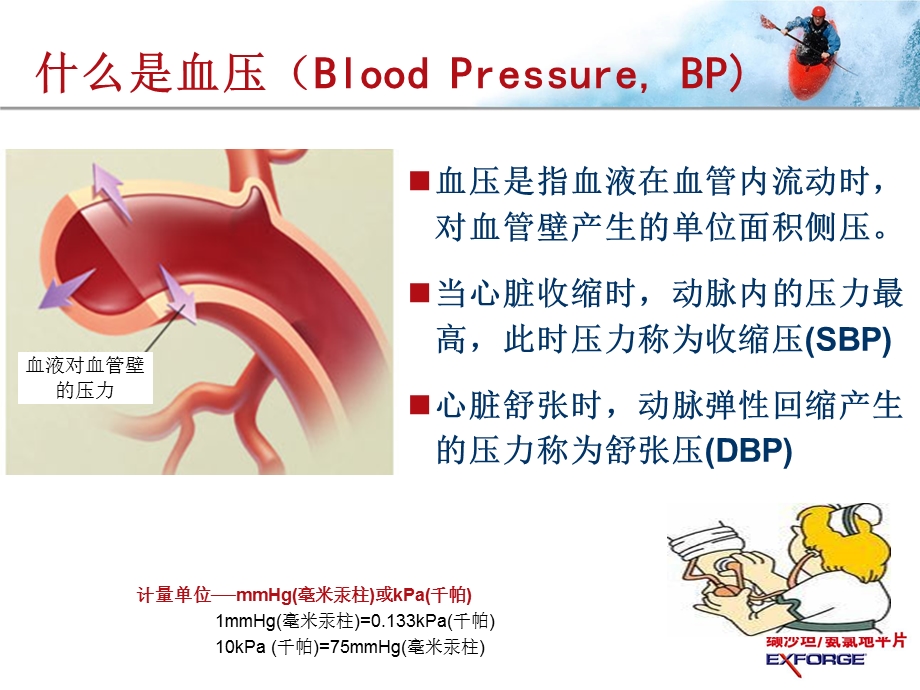 高血压基础知识部分.ppt_第2页