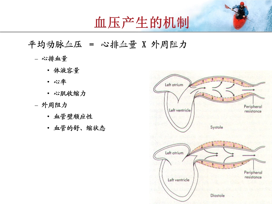 高血压基础知识部分.ppt_第3页