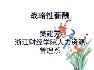 chapter3薪酬战略.ppt