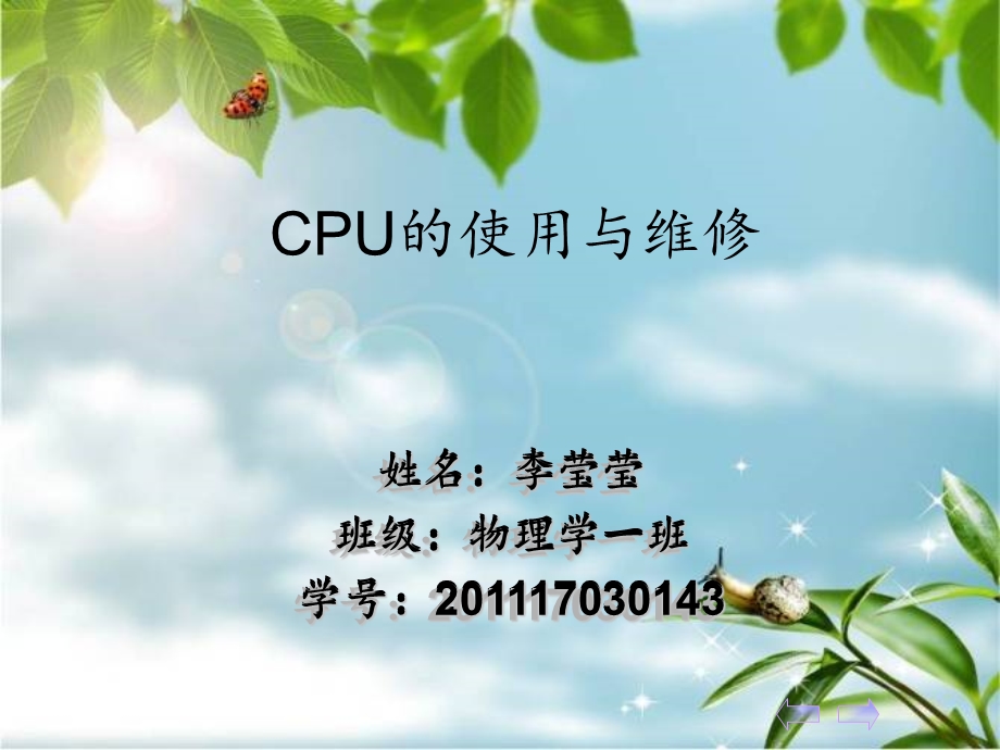 CPU的使用与维修.ppt_第1页