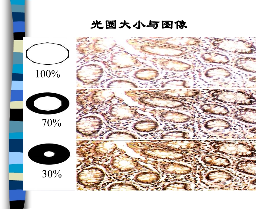 普通微生物学实验.ppt_第1页