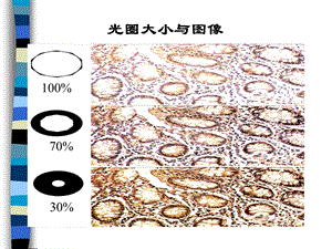 普通微生物学实验.ppt