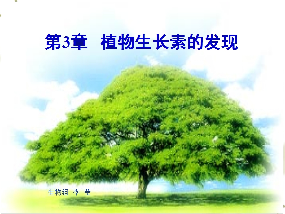 植物生长素的发现(动画很好)1上课用的.ppt_第1页