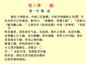 脑干高清结构解剖.ppt