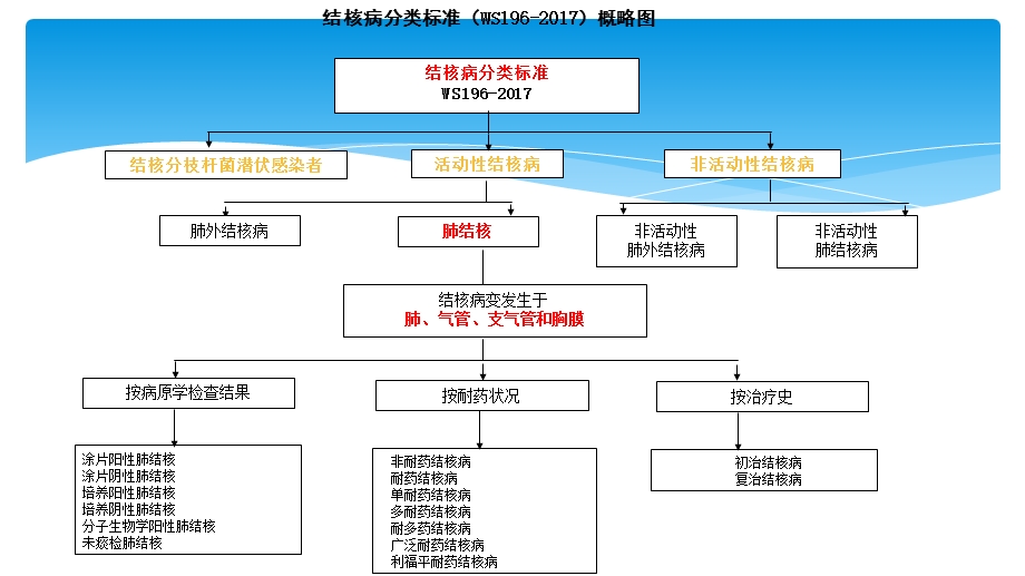 结核病诊断标准2018解读.ppt_第3页