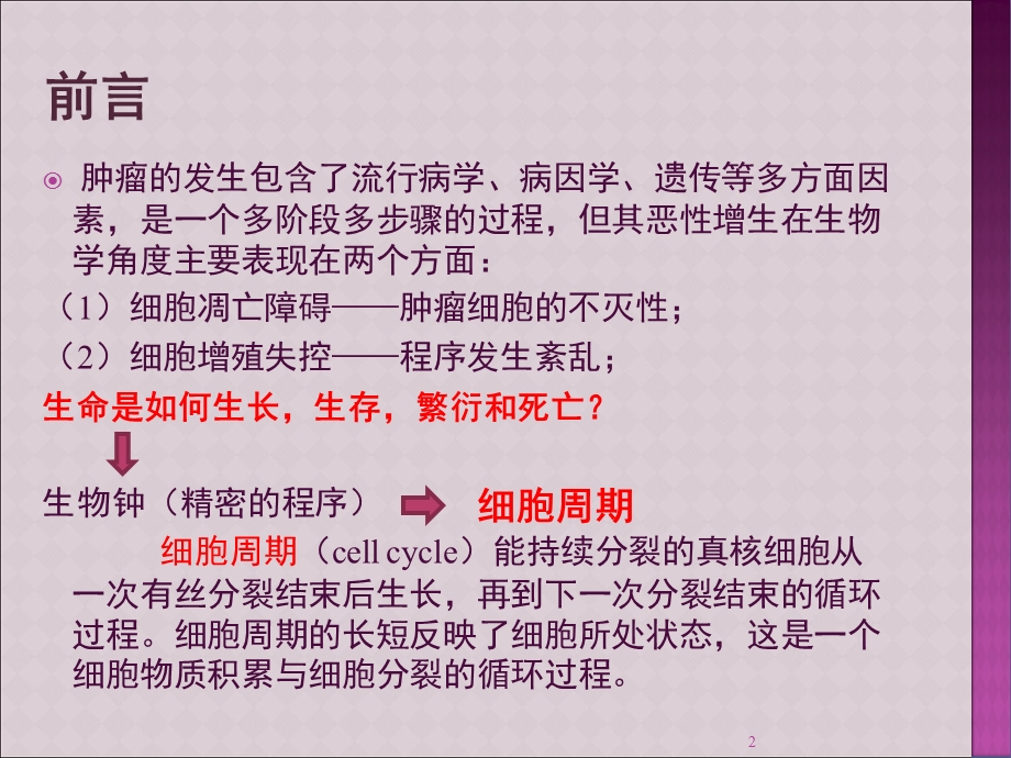 细胞周期与肿瘤课件.ppt_第2页