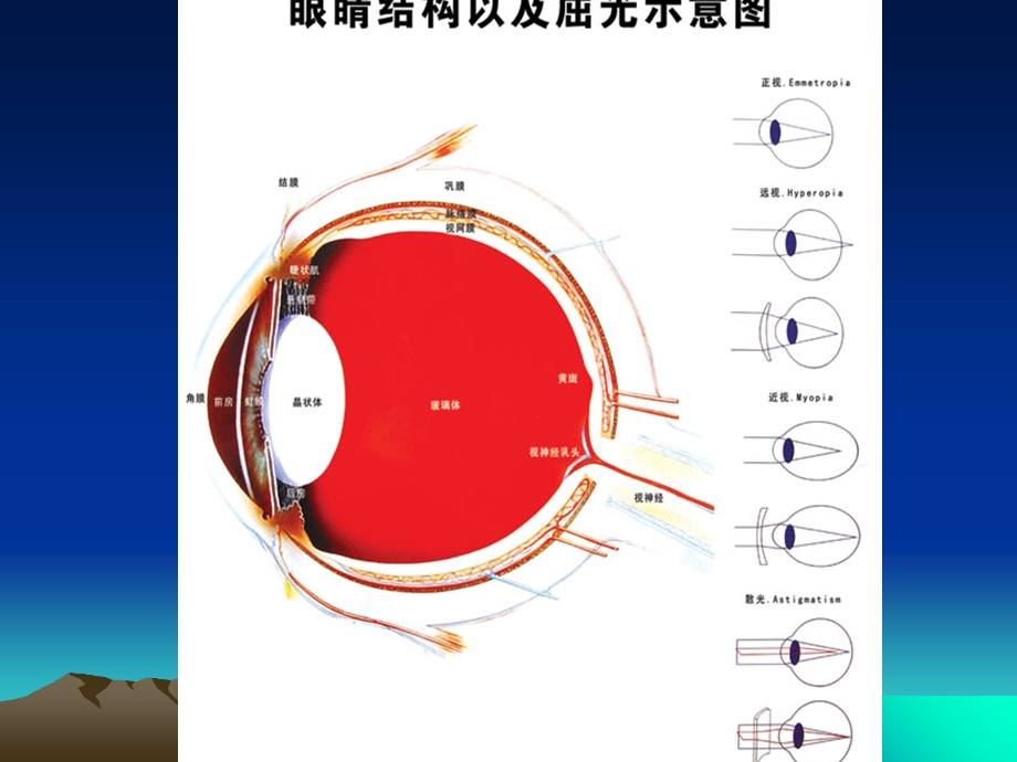 综合验光仪的使用(图解).ppt_第3页