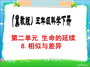 (冀教版)五年级科学下册《相似与差异》课件.ppt