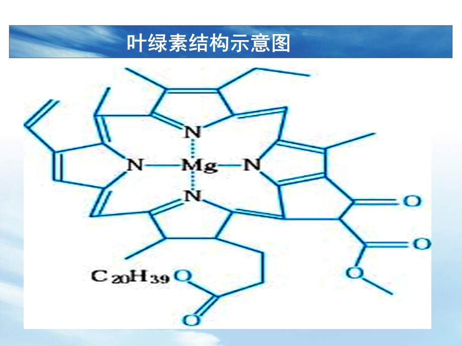 课件-配合物理论简介(上课用).ppt_第1页