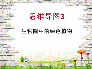 生物圈中的绿色植物的思维导图.ppt