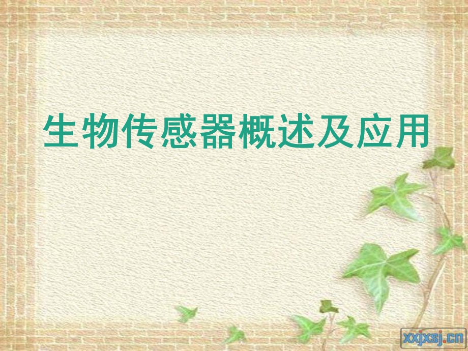 生物传感器概述及应用.ppt_第1页