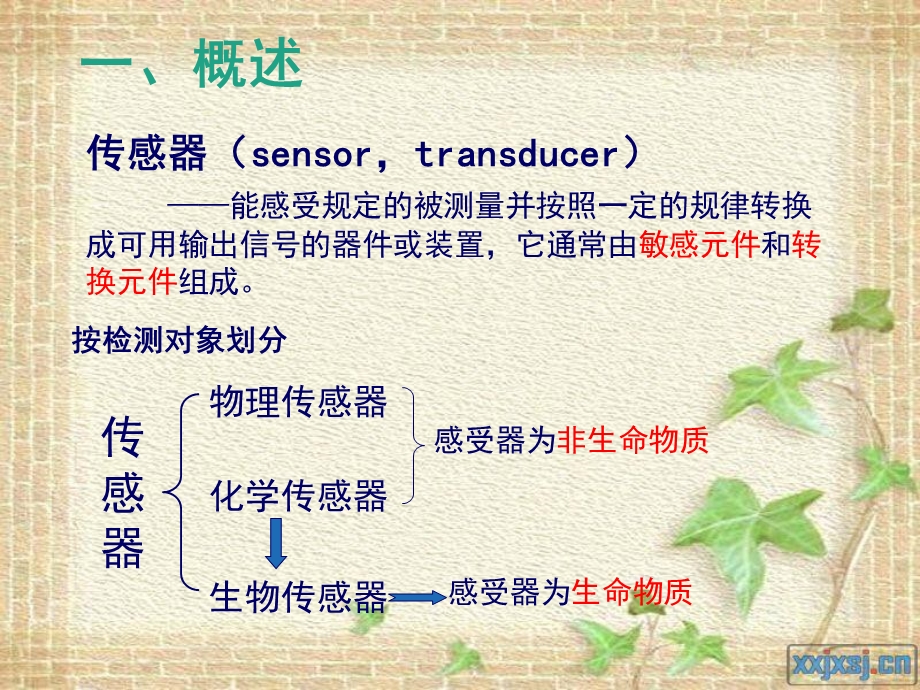 生物传感器概述及应用.ppt_第2页