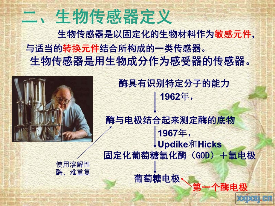 生物传感器概述及应用.ppt_第3页