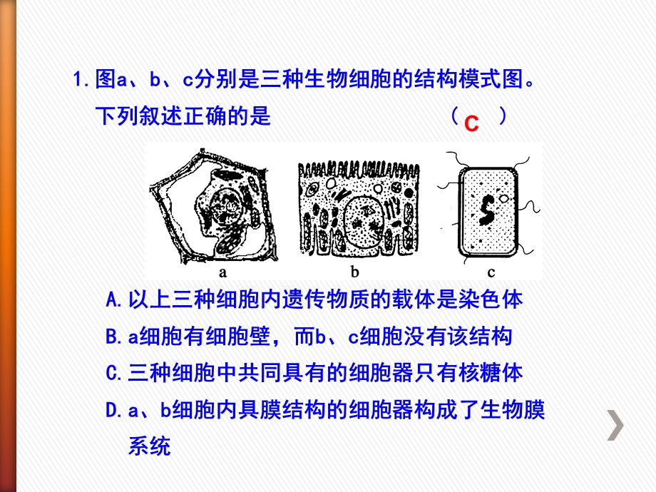 前四章易错题收集1.ppt_第2页