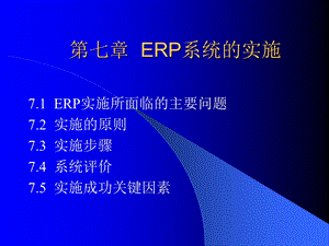 七章节ERP系统实施.ppt