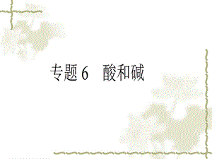 2013化学中考复习课件专题6酸和碱.ppt