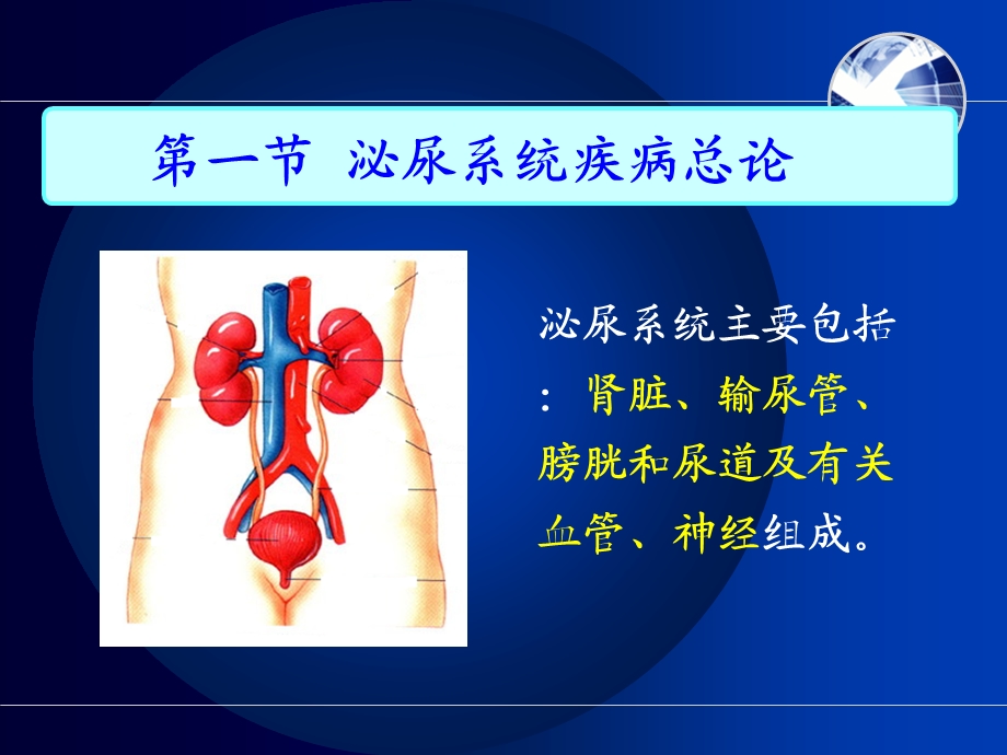 泌尿系统疾病常见症状体征的护理.ppt_第2页