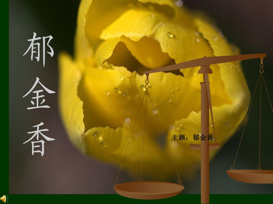 我喜欢的花郁金香.ppt_第1页