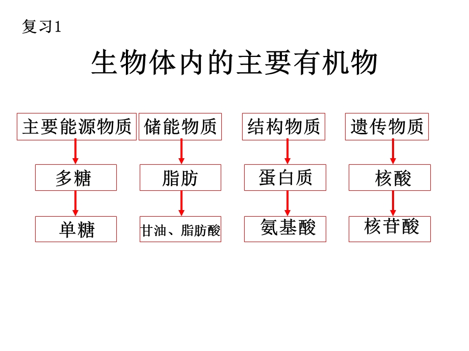 营养物质的转变.ppt_第2页