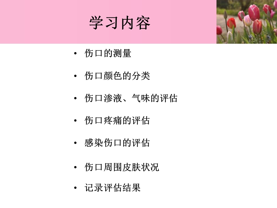 压疮的评估与记录.ppt_第2页