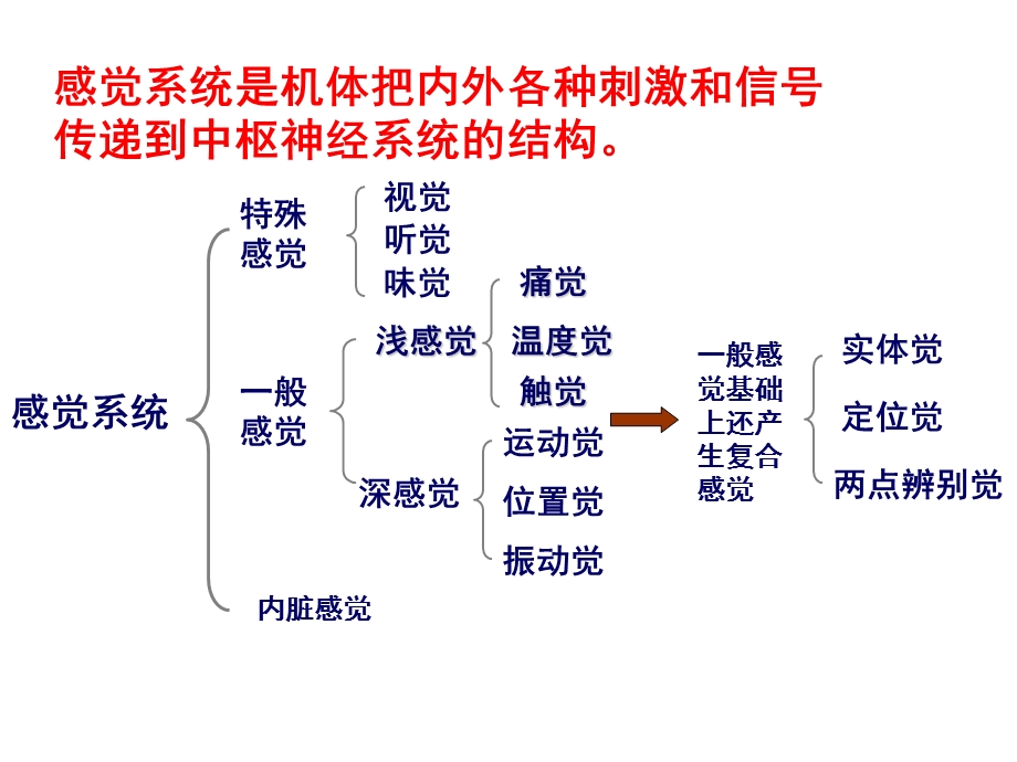 神经功能感觉检查法.ppt_第2页