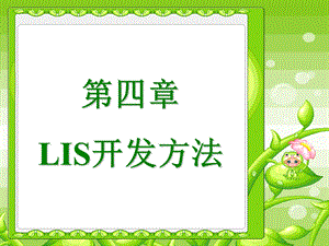 四章LIS开发ppt课件.ppt