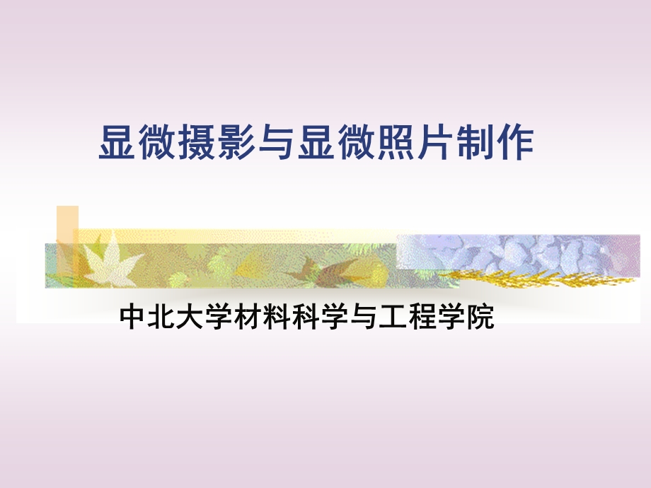 显微摄影与暗室技术.ppt_第1页