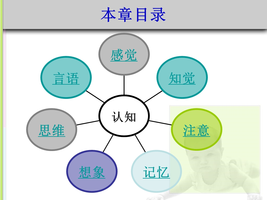 学前儿童发展心理学.ppt_第3页