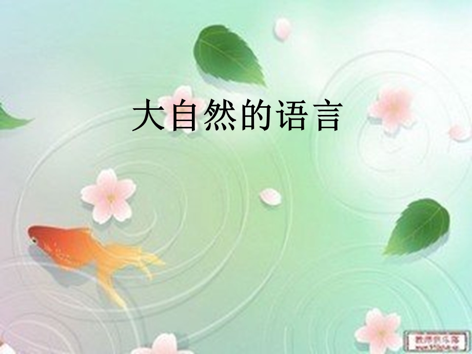 大自然的语言PPT课件.ppt_第1页