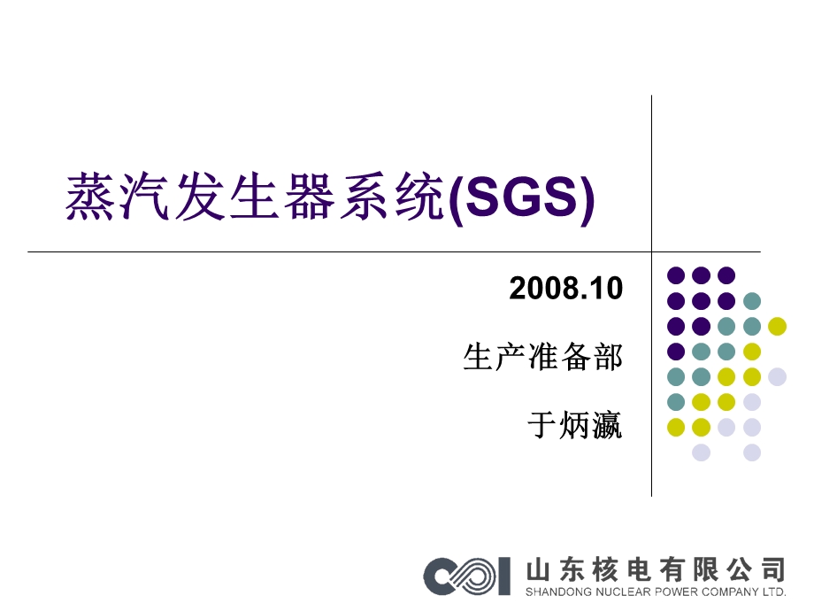 蒸汽发生器系统(SGS).ppt_第1页