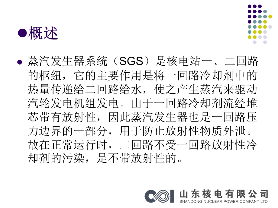 蒸汽发生器系统(SGS).ppt_第2页