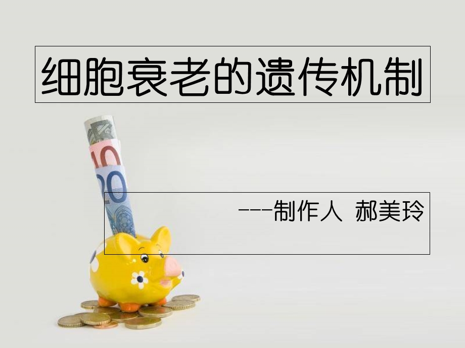 细胞衰老的遗传机制.ppt_第1页