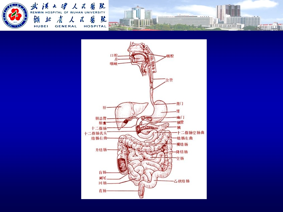 消化道出血介绍.ppt_第3页