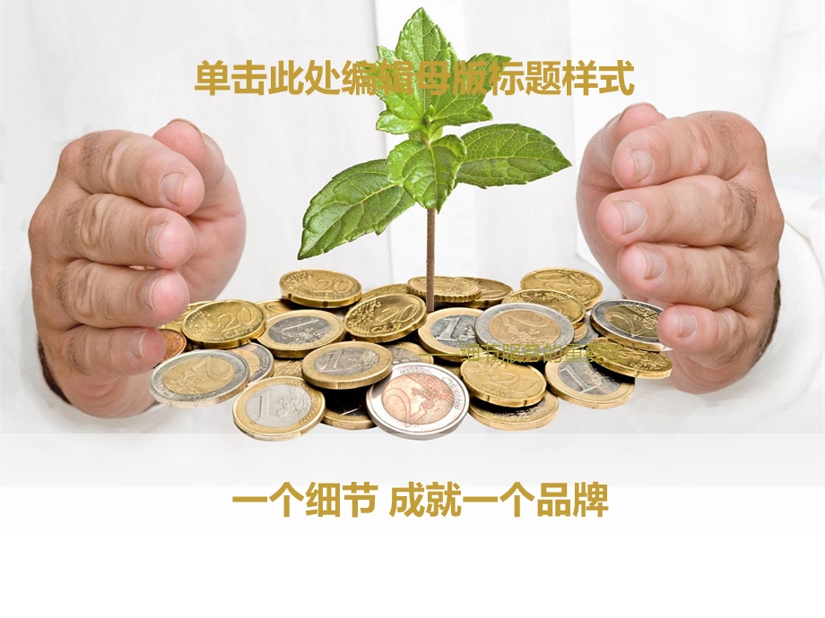 细节服务的重要性.ppt_第1页